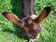 自分の資質を高めるために・・。