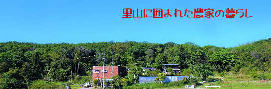 季の野の台所全景
