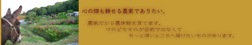 里山を見つめるロバのペーター